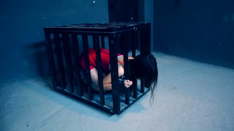 《秘密押送》第四集 为了突破两姐妹的口供对她们堵嘴驷马 第1张