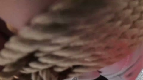【嗷嗷】【后手观音】【蛇缚】【蒙眼】【堵嘴】嗷嗷耐绑！ 第1张