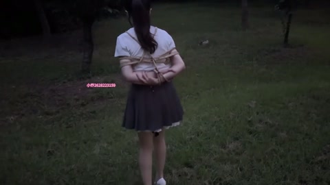 一次户外公园的捆绑 全程玩具 几近崩溃 第1张