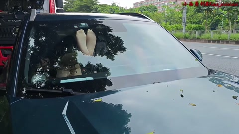 公路边肉丝连体袜+马具口塞贞操带啵啵贝自缚露出 第1张