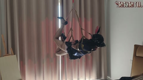 吊缚纯享 第1张