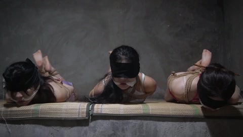 定制女神捕之千金蒙冤案（第五集）完结篇 第1张