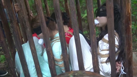 定制女神捕之千金蒙冤案（第四集） 第1张