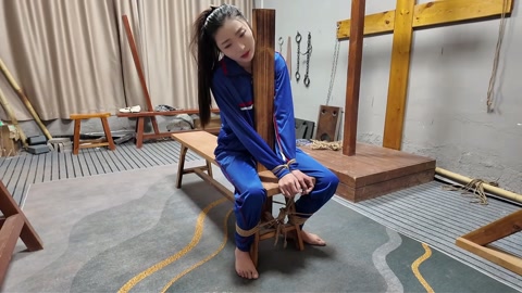 木马审讯佳佳 第1张