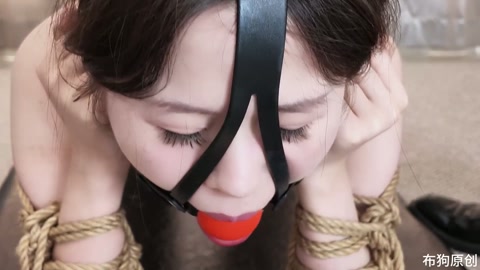 森森的K9小犬缚 第1张