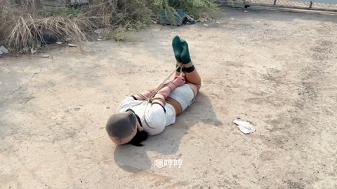 狗奴驯养持久战 第1张