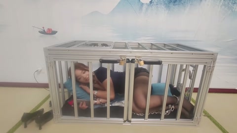 自我拘禁 第1张