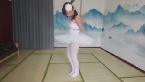 芭蕾裙五花脚镣踮脚放置 第1张
