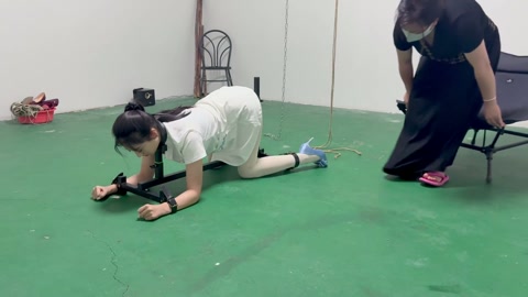 k9架折磨被逼飙脏话 第1张