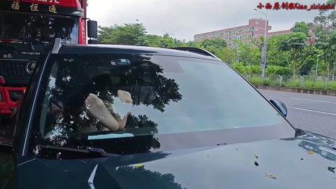 公路边肉丝连体袜+马具口塞贞操带啵啵贝自缚露出 第2张