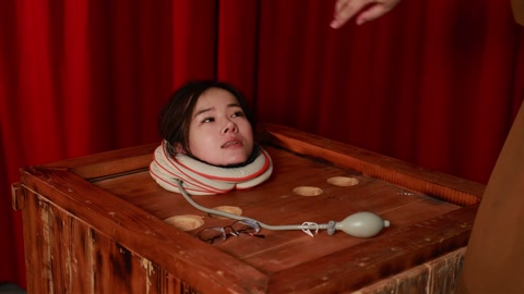 圈养前准备“想牢固地固定她的身体，各种道具尝试， 让她不能动， 还要保证安全。” 第2张