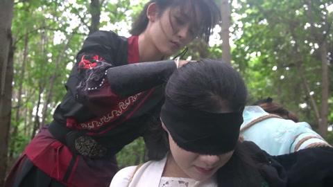 定制女神捕之千金蒙冤案（第一集） 第2张