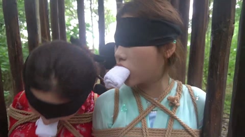 定制女神捕之千金蒙冤案（第四集） 第2张