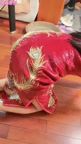 晓森一小时狗奴训练 第2张
