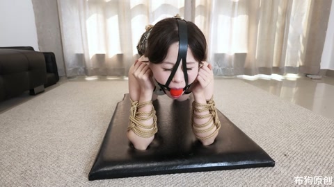 森森的K9小犬缚 第2张