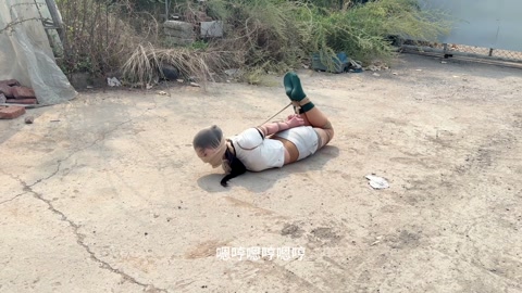 狗奴驯养持久战 第2张