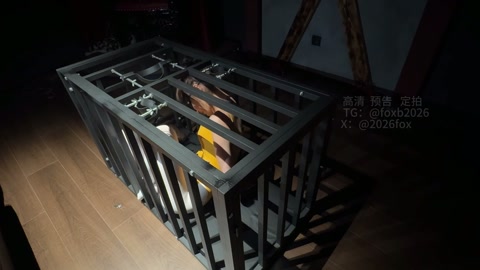 芭蕾母狗的救赎（三）采访 限时逃脱 人彘舔脚深喉 分腿炮机强高 第2张