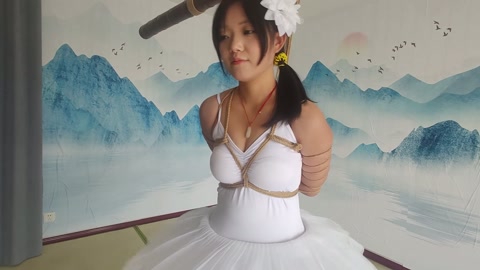 芭蕾裙五花脚镣踮脚放置 第2张