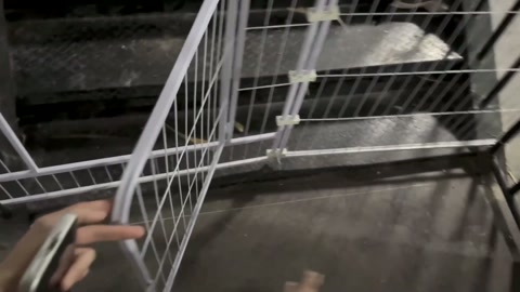 蜜桃臀骚臭狗奴壹壹的爬楼训练 第2张