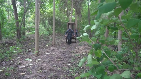 定制女神捕之千金蒙冤案（第四集） 第3张