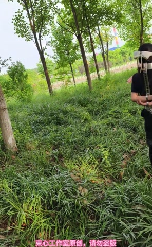 星尘职业套裙，金属脖腰手固定，马具口球，脚镣，游乐场小树林行走 第3张