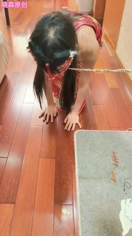 晓森一小时狗奴训练 第3张