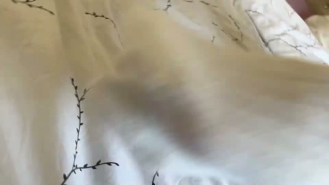 模特阿遇2，临近出门被绑架挟持，崩溃挣扎痛哭！ 第3张
