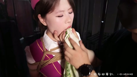 空姐训服记 （堵嘴＋tk） 第3张