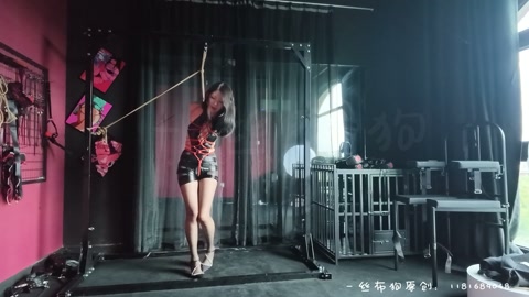 龟甲＋直臂紧缚 K9 第3张
