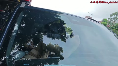 公路边肉丝连体袜+马具口塞贞操带啵啵贝自缚露出 第4张