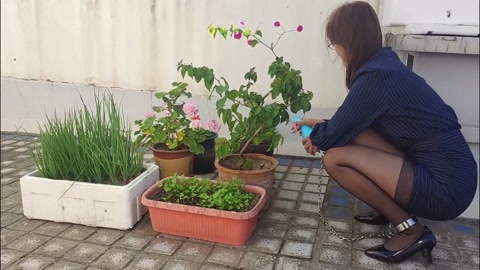 天台玩耍风太大，担心来人好害怕 第4张
