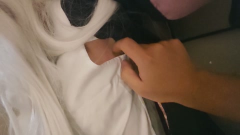 定拍转公映灰之魔女伊蕾娜的痒刑，伊蕾娜身为魔女没想到却那么怕痒，外套内的无袖衬衫裸露的腋窝更是敏感，... 第4张
