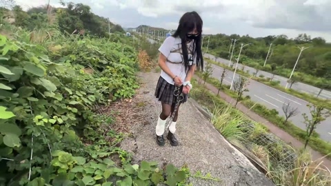 小叶林间奇遇记（上） 第4张