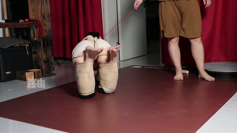 拴住的美人儿犬 第4张