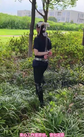 星尘职业套裙，金属脖腰手固定，马具口球，脚镣，游乐场小树林行走 第4张