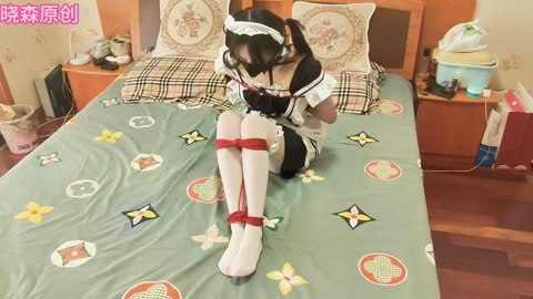 晓森妹妹女仆白丝的单人放置及td放置qg 第4张