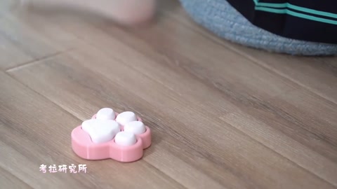 清纯少女听力答题接连出错，被绑缚超紧驷马放置，勒到双腿发麻、软瘫在地【胸缚 游戏 驷马缚 放置 挣扎... 第4张