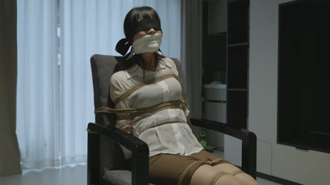 绑架故事II 第4张