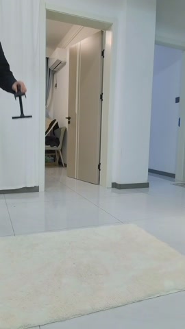 肉丝头绳五花极限驷马 第4张