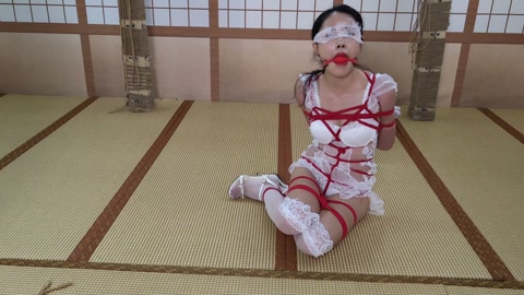 装在箱子里送货上门的落难新娘 饲育调叫 狗食盆喝牛奶 第4张
