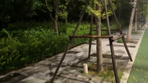 高颜值社牛小姑娘户外逛公园 第4张