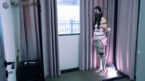 （M训练）粉色小女仆窗前的电击控制G钩吊物训练（G钩吊物窗前暴露电击控制强制行走全程某贝脚钉阻氧面罩... 第4张