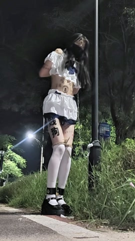全身是脏字的小男娘户外路灯手铐定时自缚电击放置 第5张