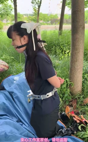 星尘职业套裙，金属脖腰手固定，马具口球，脚镣，游乐场小树林行走 第5张
