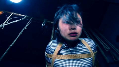 潜伏的蝴蝶（下集） 卧底打晕女特务逃跑未遂被女特务驷马吊缚在空中折磨后被押赴刑场英勇就义 第5张
