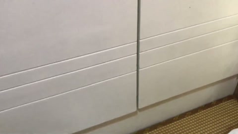 荷露COS崩坏 流萤 误入活绳屋（三）挣脱逃亡在柜子里被魔法缚紧 想嘴遁说服绑匪 却被骗再次驷马 第5张