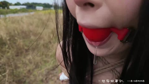 莉莉户外2.0 户外tj全集 全程啵啵贝 股绳刺激 绊脚绳限制行动 出发＋返程全过程无剪辑 野外躺地... 第5张