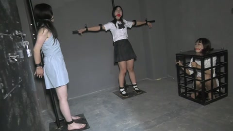 踏青惊魂记  三名女大学在野外踏青被人贩子绑架到地牢折磨转手卖给夜总会 第5张