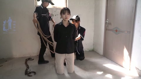 镣铐铮鸣 第5张