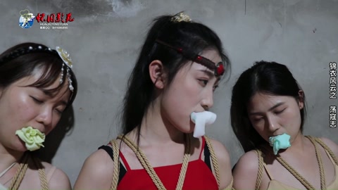 古装巨制锦衣风云2之荡寇志（第四集） 第6张